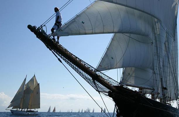 Lidgard Sailmakers - Lidgard_Sails_Shennondoah.jpg